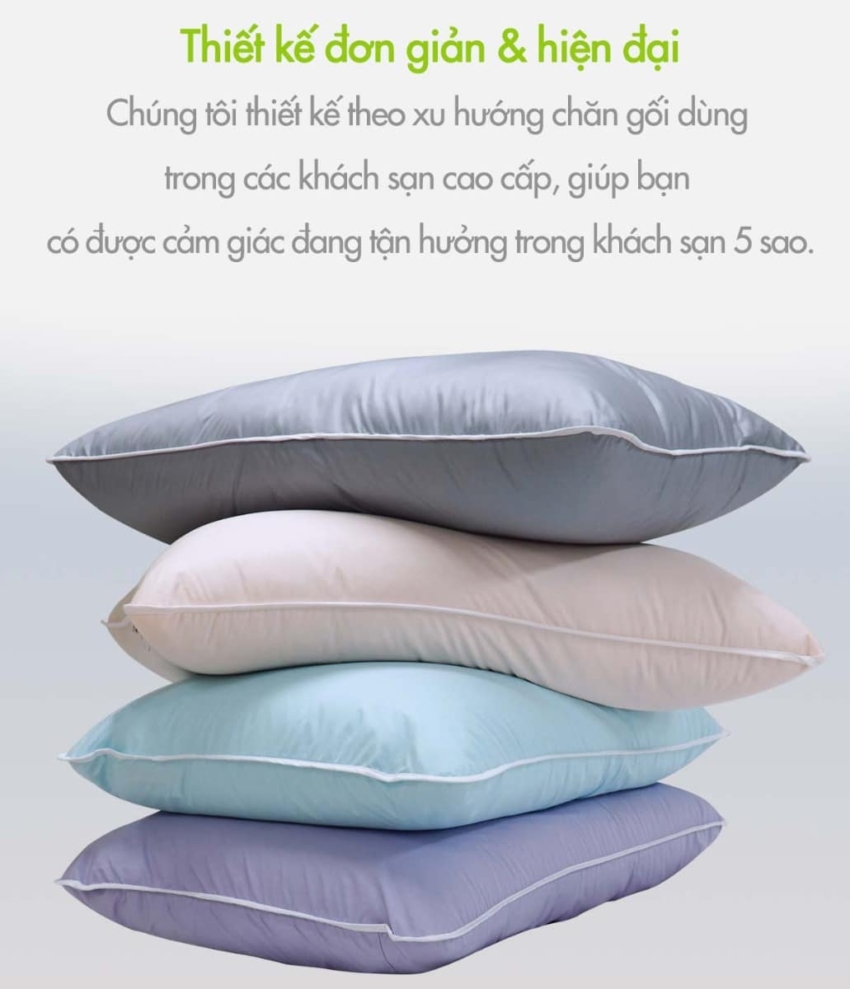 Trang Chủ Ruột Gối 5S Everon - Everon Ruột Gối 5S Everon - Everon