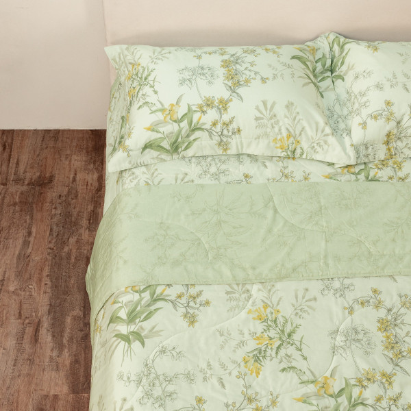 23-Lilies-Epmoc27025-09-600X0-1.Jpg Lilies - Epmoc27025 - Everon