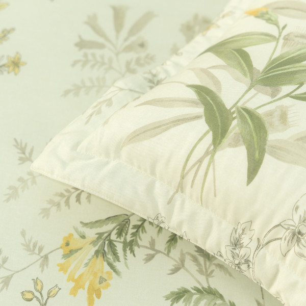 23-Lilies-Epmoc27025-12-600X0-1.Jpg Lilies - Epmoc27025 - Everon