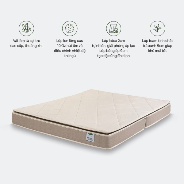 Đệm Foam Artemis Nature Dream Support - Everon